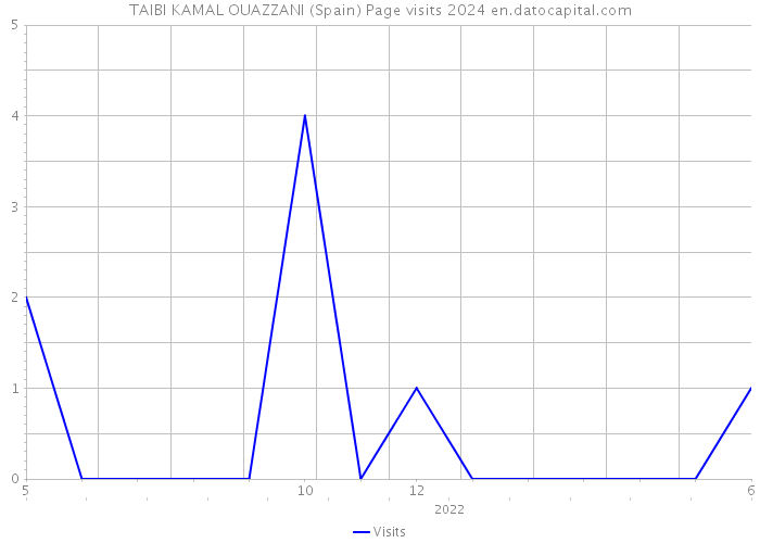 TAIBI KAMAL OUAZZANI (Spain) Page visits 2024 
