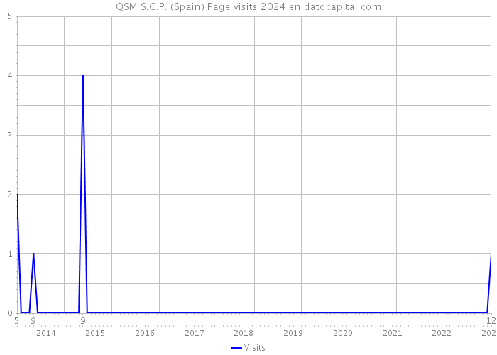 QSM S.C.P. (Spain) Page visits 2024 