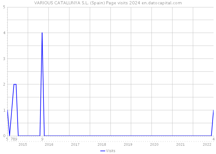 VARIOUS CATALUNYA S.L. (Spain) Page visits 2024 