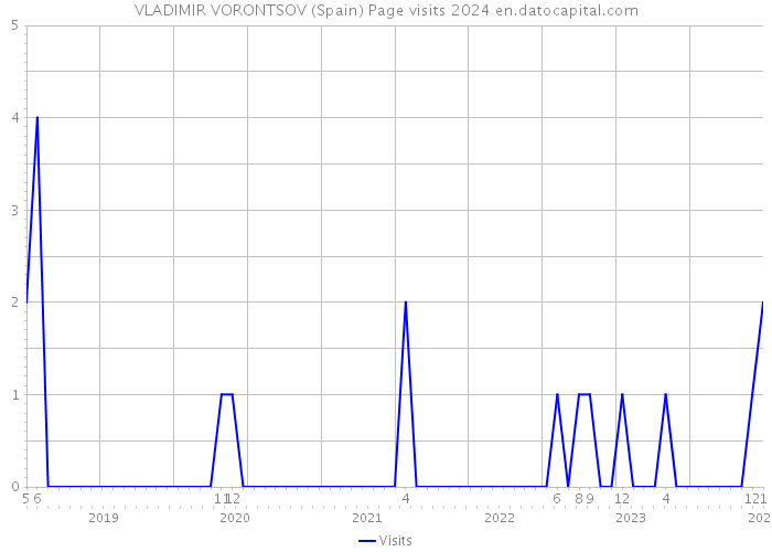 VLADIMIR VORONTSOV (Spain) Page visits 2024 