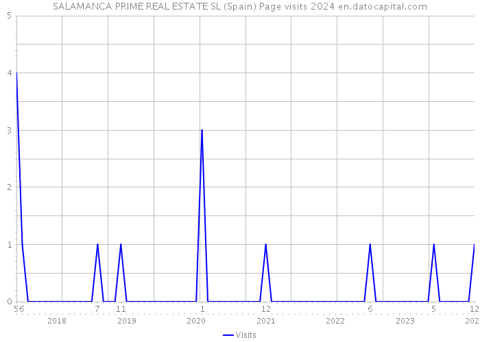 SALAMANCA PRIME REAL ESTATE SL (Spain) Page visits 2024 