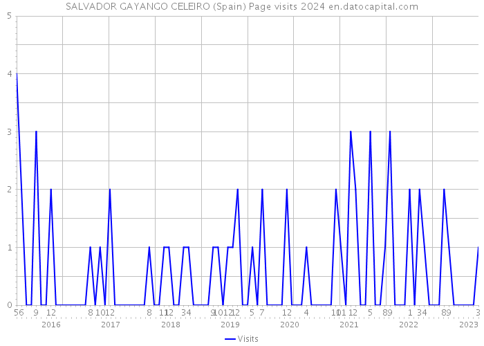 SALVADOR GAYANGO CELEIRO (Spain) Page visits 2024 