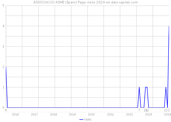 ASSOCIACIO ASHE (Spain) Page visits 2024 