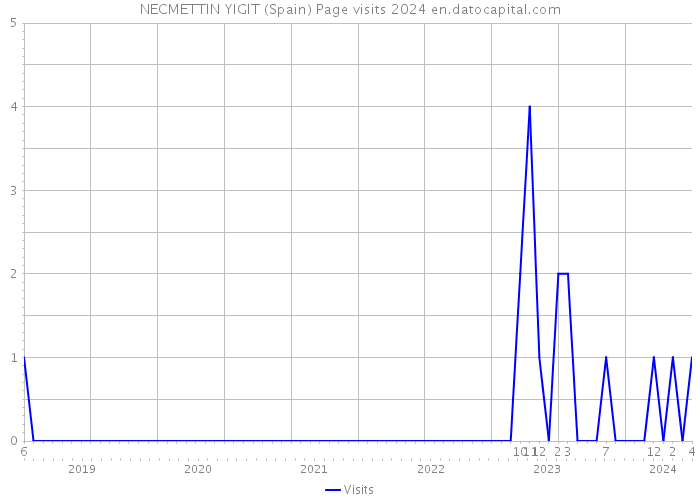 NECMETTIN YIGIT (Spain) Page visits 2024 
