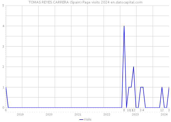 TOMAS REYES CARRERA (Spain) Page visits 2024 