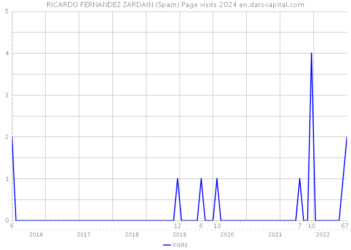 RICARDO FERNANDEZ ZARDAIN (Spain) Page visits 2024 