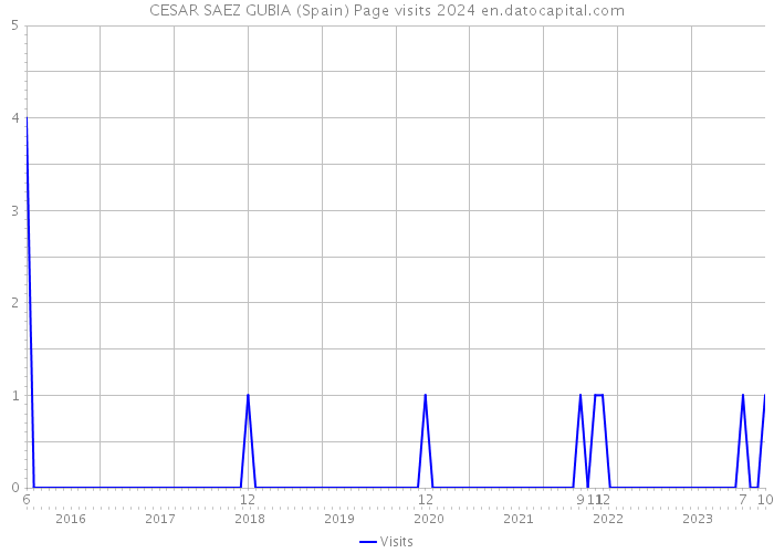 CESAR SAEZ GUBIA (Spain) Page visits 2024 