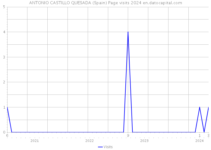 ANTONIO CASTILLO QUESADA (Spain) Page visits 2024 