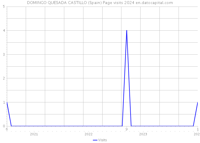DOMINGO QUESADA CASTILLO (Spain) Page visits 2024 