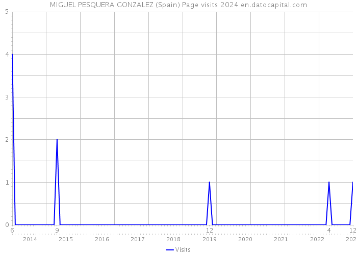 MIGUEL PESQUERA GONZALEZ (Spain) Page visits 2024 