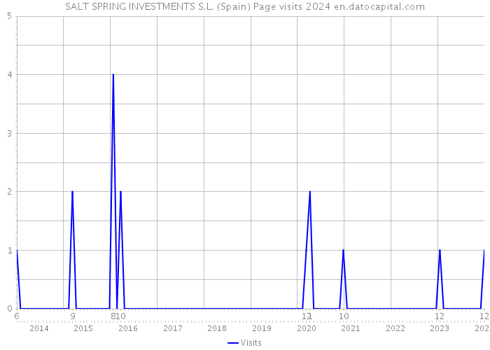 SALT SPRING INVESTMENTS S.L. (Spain) Page visits 2024 