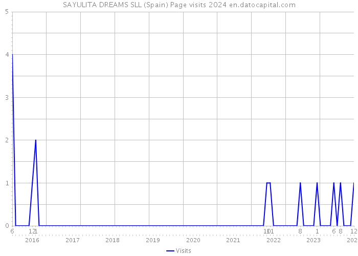 SAYULITA DREAMS SLL (Spain) Page visits 2024 