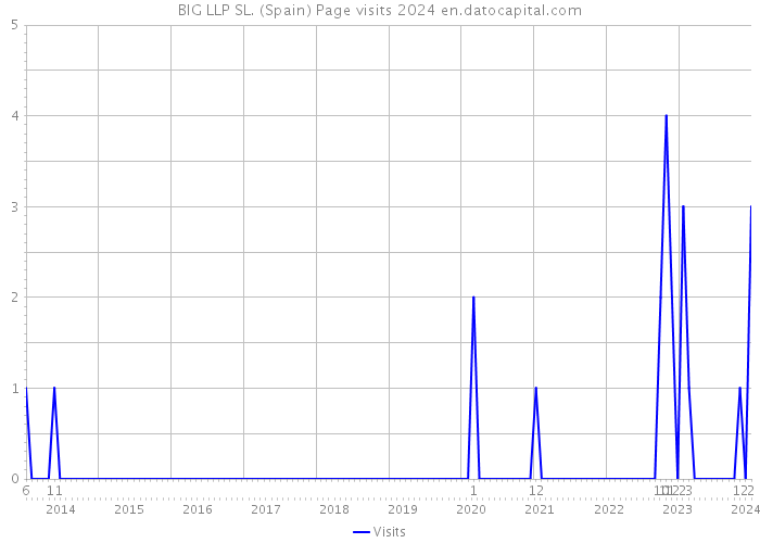 BIG LLP SL. (Spain) Page visits 2024 