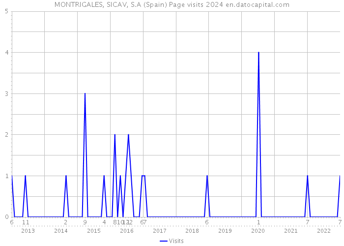 MONTRIGALES, SICAV, S.A (Spain) Page visits 2024 