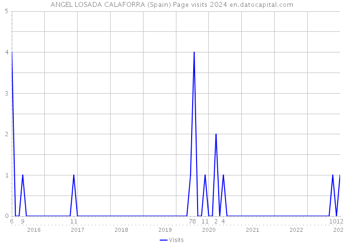 ANGEL LOSADA CALAFORRA (Spain) Page visits 2024 