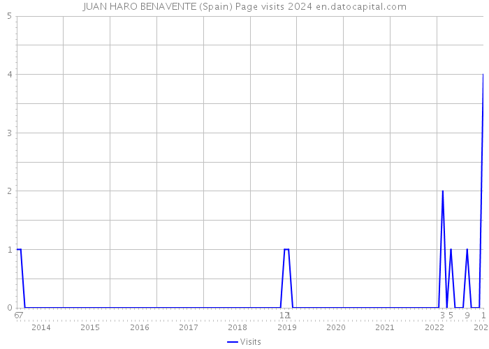 JUAN HARO BENAVENTE (Spain) Page visits 2024 