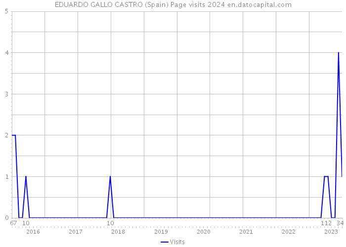 EDUARDO GALLO CASTRO (Spain) Page visits 2024 