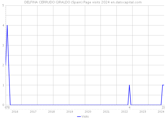 DELFINA CERRUDO GIRALDO (Spain) Page visits 2024 