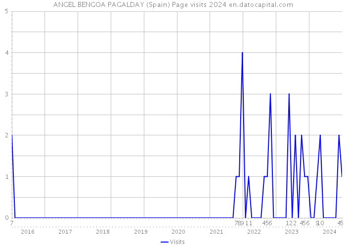 ANGEL BENGOA PAGALDAY (Spain) Page visits 2024 