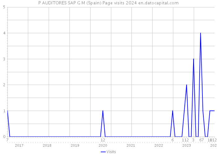 P AUDITORES SAP G M (Spain) Page visits 2024 