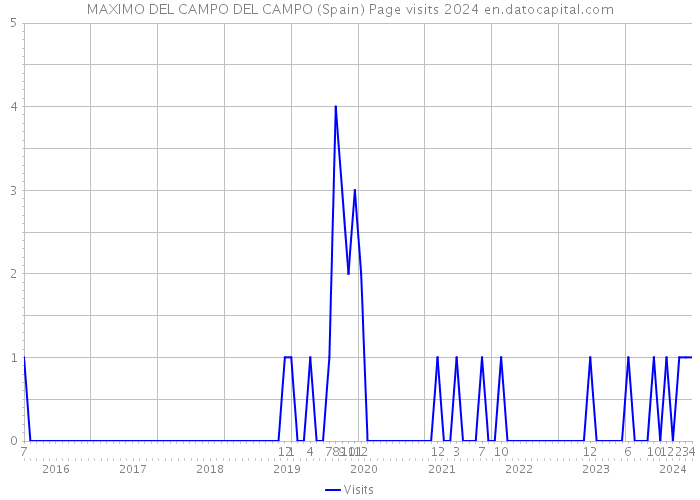MAXIMO DEL CAMPO DEL CAMPO (Spain) Page visits 2024 