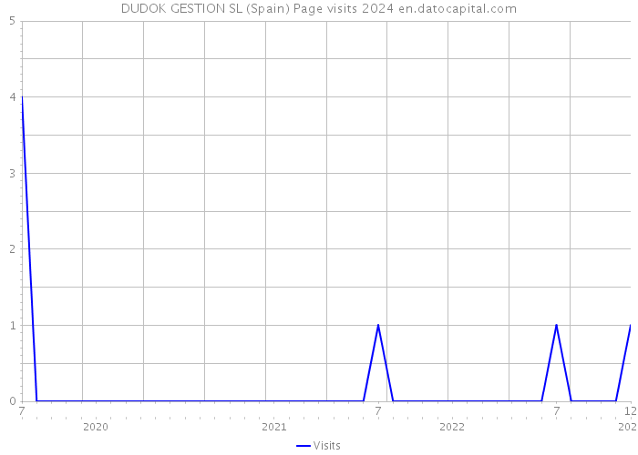 DUDOK GESTION SL (Spain) Page visits 2024 