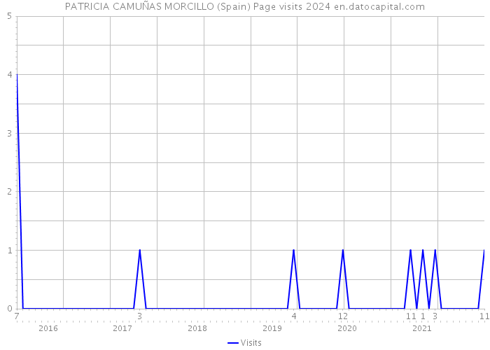 PATRICIA CAMUÑAS MORCILLO (Spain) Page visits 2024 