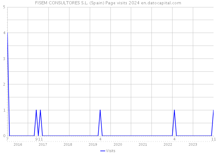 FISEM CONSULTORES S.L. (Spain) Page visits 2024 