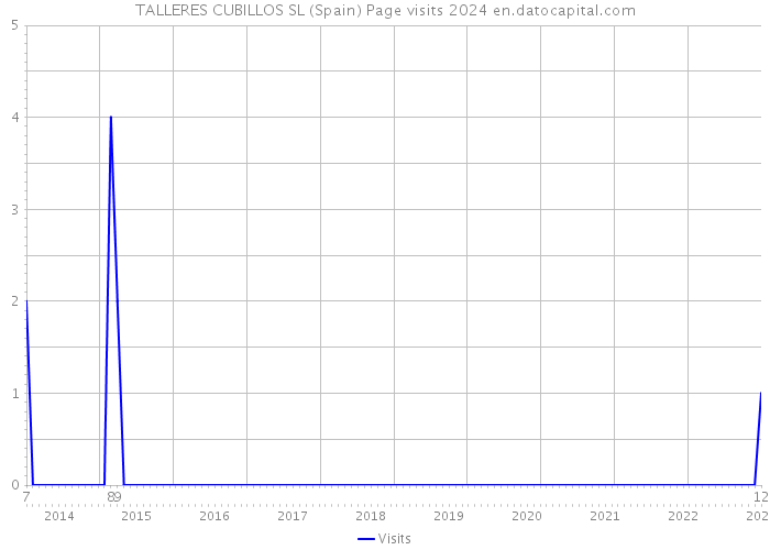 TALLERES CUBILLOS SL (Spain) Page visits 2024 