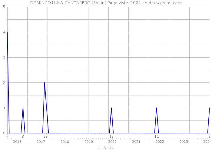 DOMINGO LUNA CANTARERO (Spain) Page visits 2024 