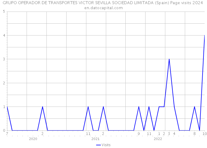GRUPO OPERADOR DE TRANSPORTES VICTOR SEVILLA SOCIEDAD LIMITADA (Spain) Page visits 2024 