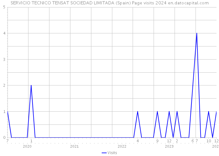 SERVICIO TECNICO TENSAT SOCIEDAD LIMITADA (Spain) Page visits 2024 