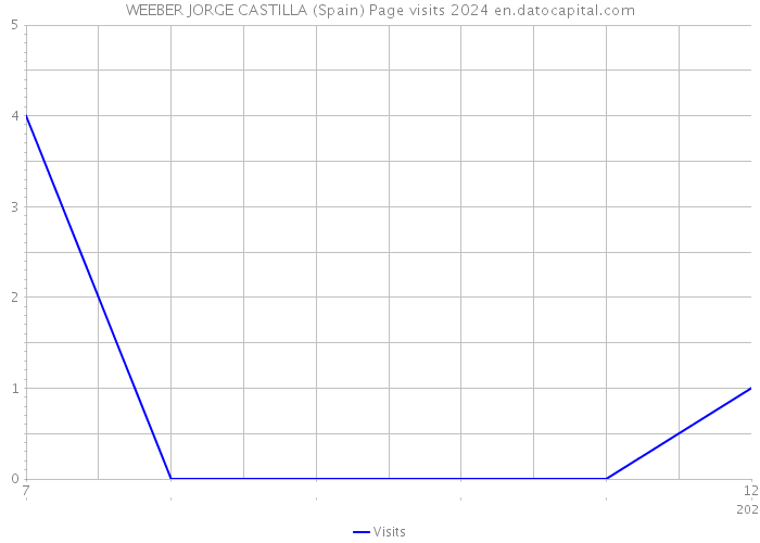 WEEBER JORGE CASTILLA (Spain) Page visits 2024 