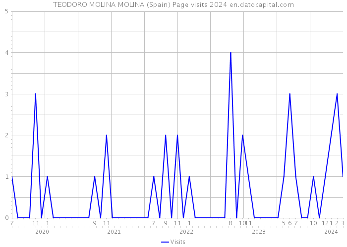 TEODORO MOLINA MOLINA (Spain) Page visits 2024 