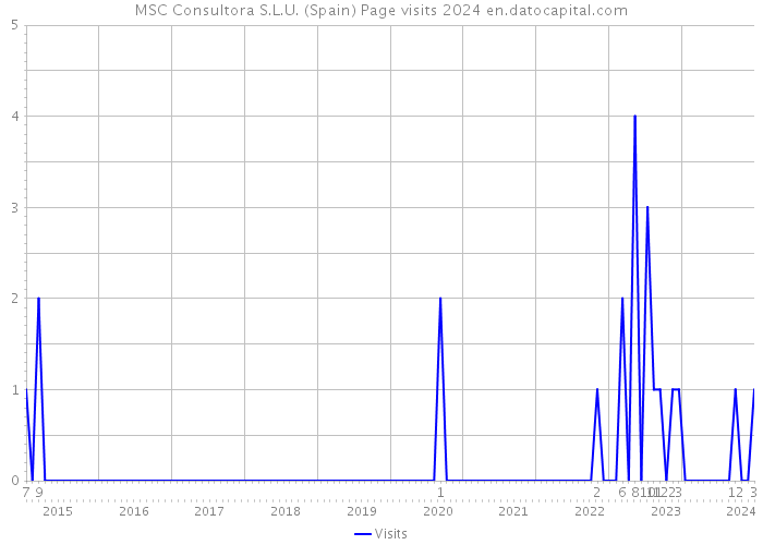 MSC Consultora S.L.U. (Spain) Page visits 2024 