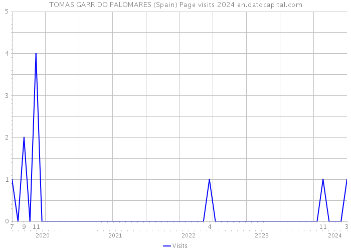 TOMAS GARRIDO PALOMARES (Spain) Page visits 2024 
