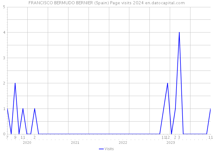 FRANCISCO BERMUDO BERNIER (Spain) Page visits 2024 