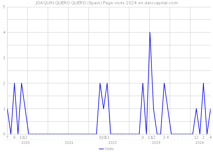 JOAQUIN QUERO QUERO (Spain) Page visits 2024 
