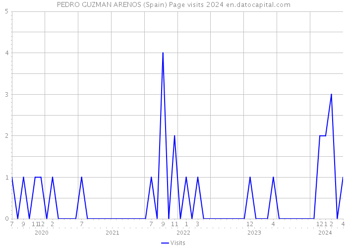 PEDRO GUZMAN ARENOS (Spain) Page visits 2024 