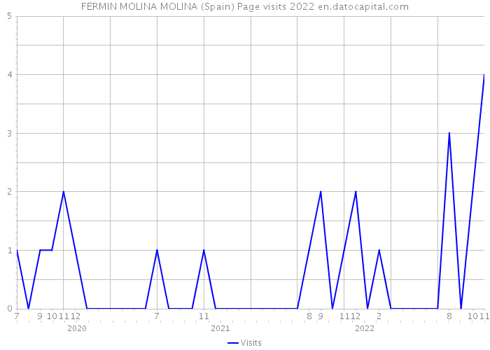 FERMIN MOLINA MOLINA (Spain) Page visits 2022 