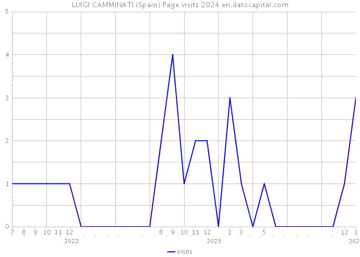 LUIGI CAMMINATI (Spain) Page visits 2024 