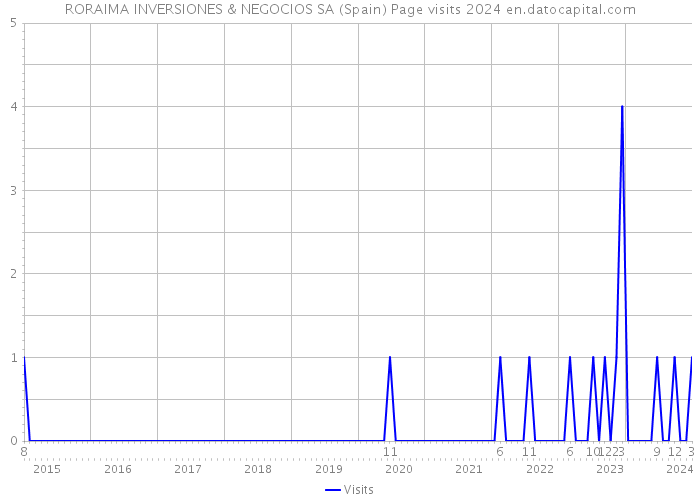 RORAIMA INVERSIONES & NEGOCIOS SA (Spain) Page visits 2024 