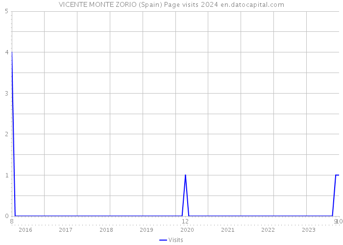 VICENTE MONTE ZORIO (Spain) Page visits 2024 
