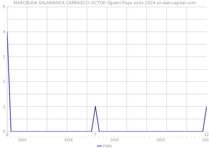 MARCELINA SALAMANCA CARRASCO VICTOR (Spain) Page visits 2024 