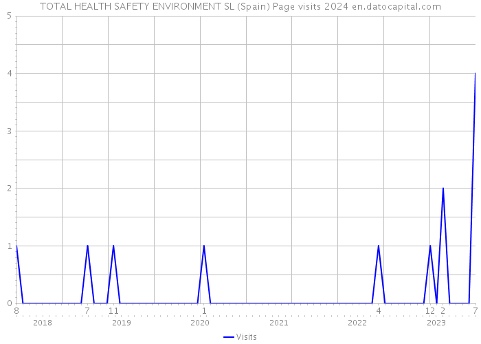 TOTAL HEALTH SAFETY ENVIRONMENT SL (Spain) Page visits 2024 