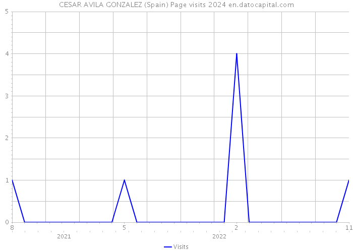 CESAR AVILA GONZALEZ (Spain) Page visits 2024 