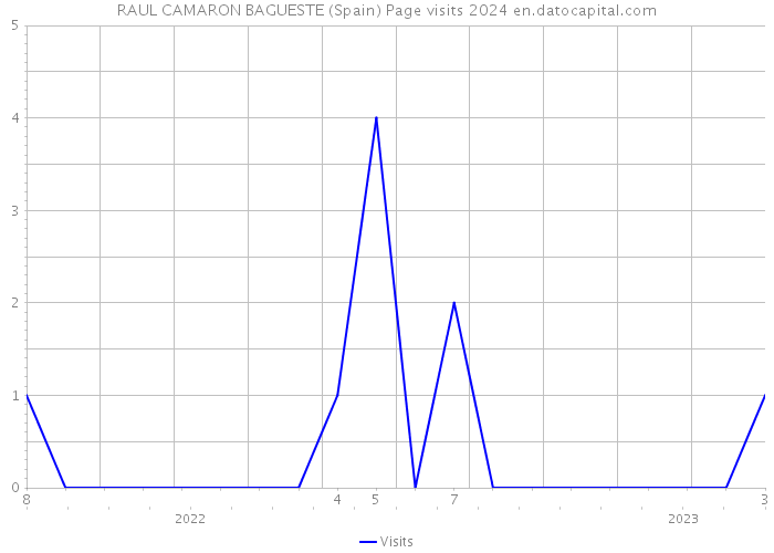 RAUL CAMARON BAGUESTE (Spain) Page visits 2024 