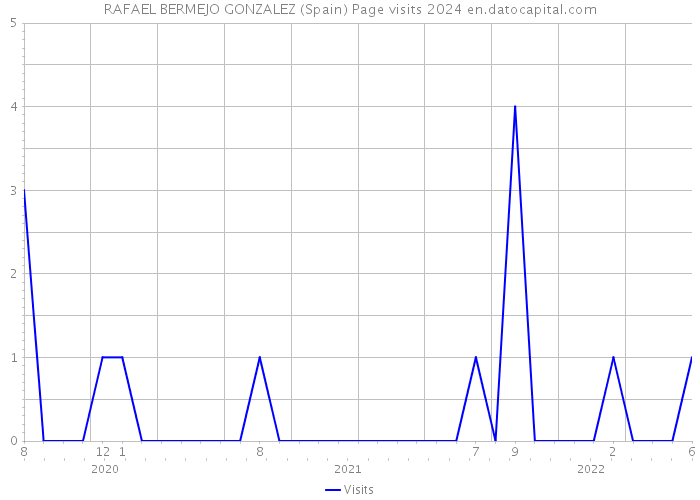 RAFAEL BERMEJO GONZALEZ (Spain) Page visits 2024 