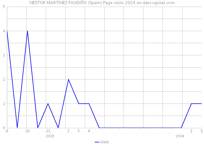 NESTOR MARTINEZ FANDIÑO (Spain) Page visits 2024 