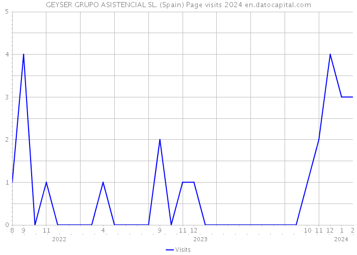 GEYSER GRUPO ASISTENCIAL SL. (Spain) Page visits 2024 